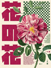 Pink Botanical Flower Japanese Wall Art Print - unframed