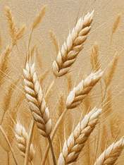 Golden Wheat Field Rustic Wall Art Print - unframed