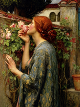 The Soul of the Rose Wall Art Print