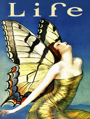 Art Deco Butterfly Life Wall Art Print - unframed