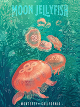 Moon Jellyfish Monterey California Wall Art Print