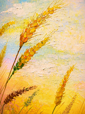 Golden Wheat Field Wall Art Print - unframed