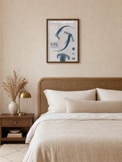 The Hammerhead Shark Educational Wall Art Print - dark wood framed