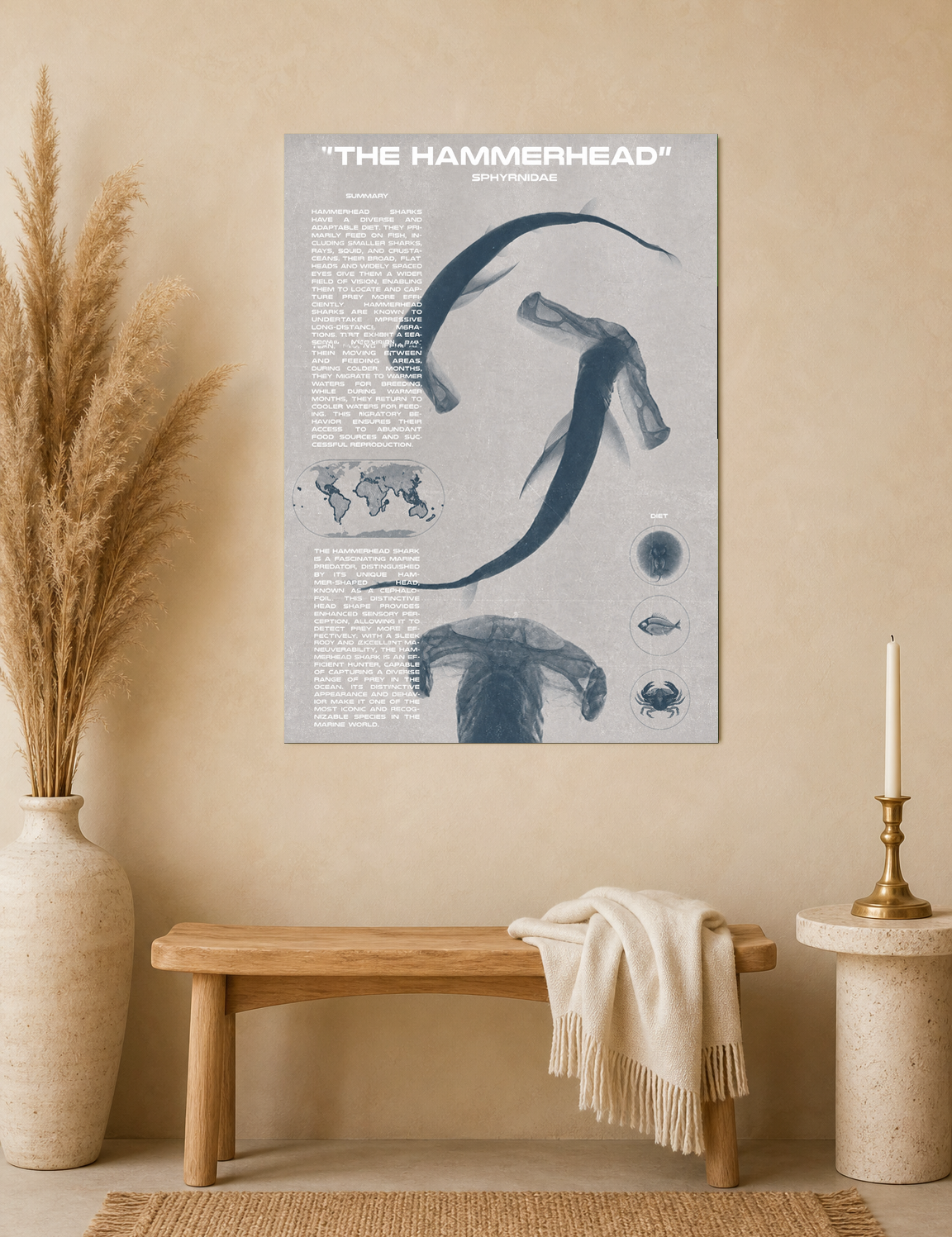 The Hammerhead Shark Educational Wall Art Print - unframed mockup