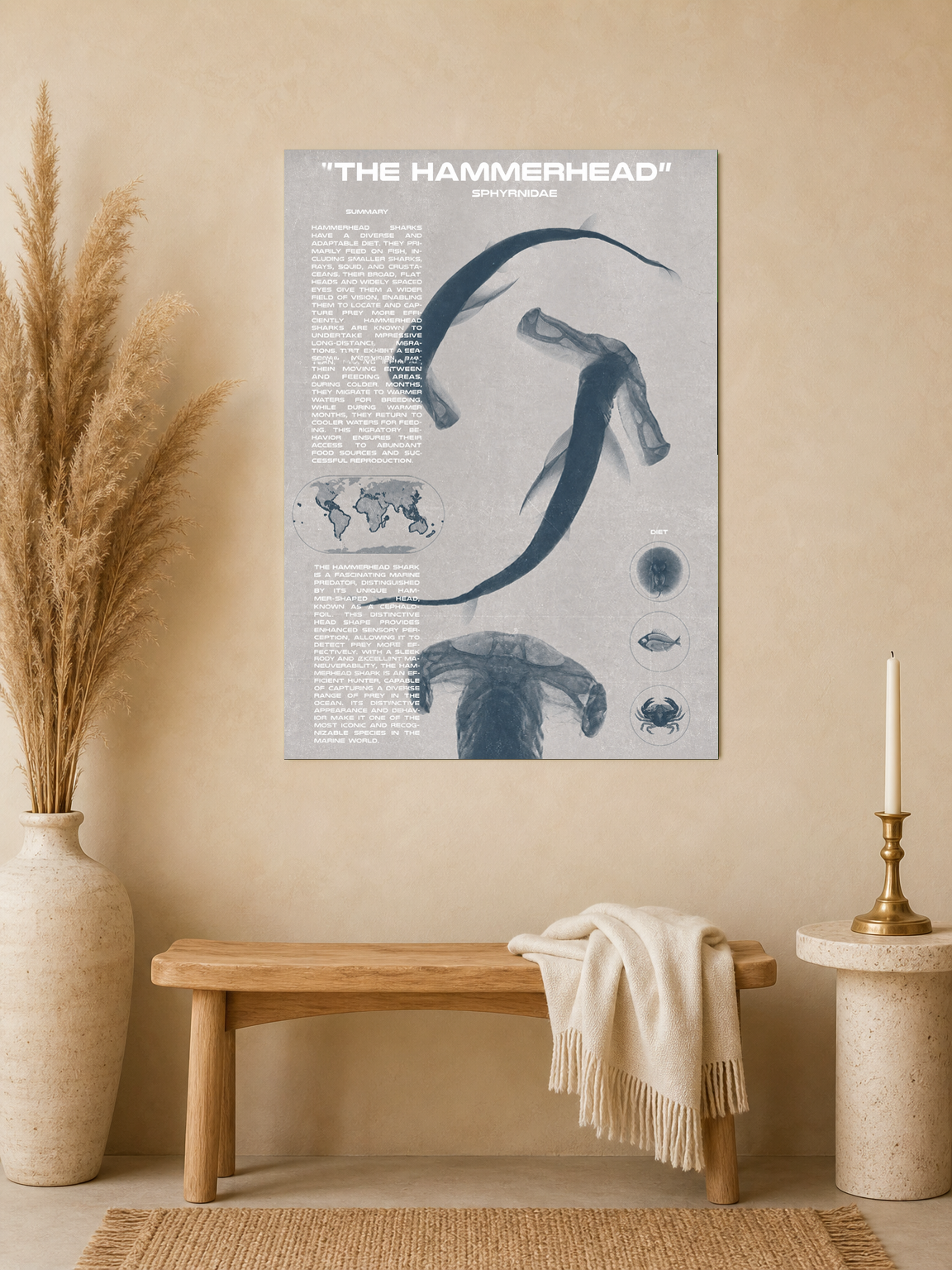 The Hammerhead Shark Educational Wall Art Print - unframed mockup