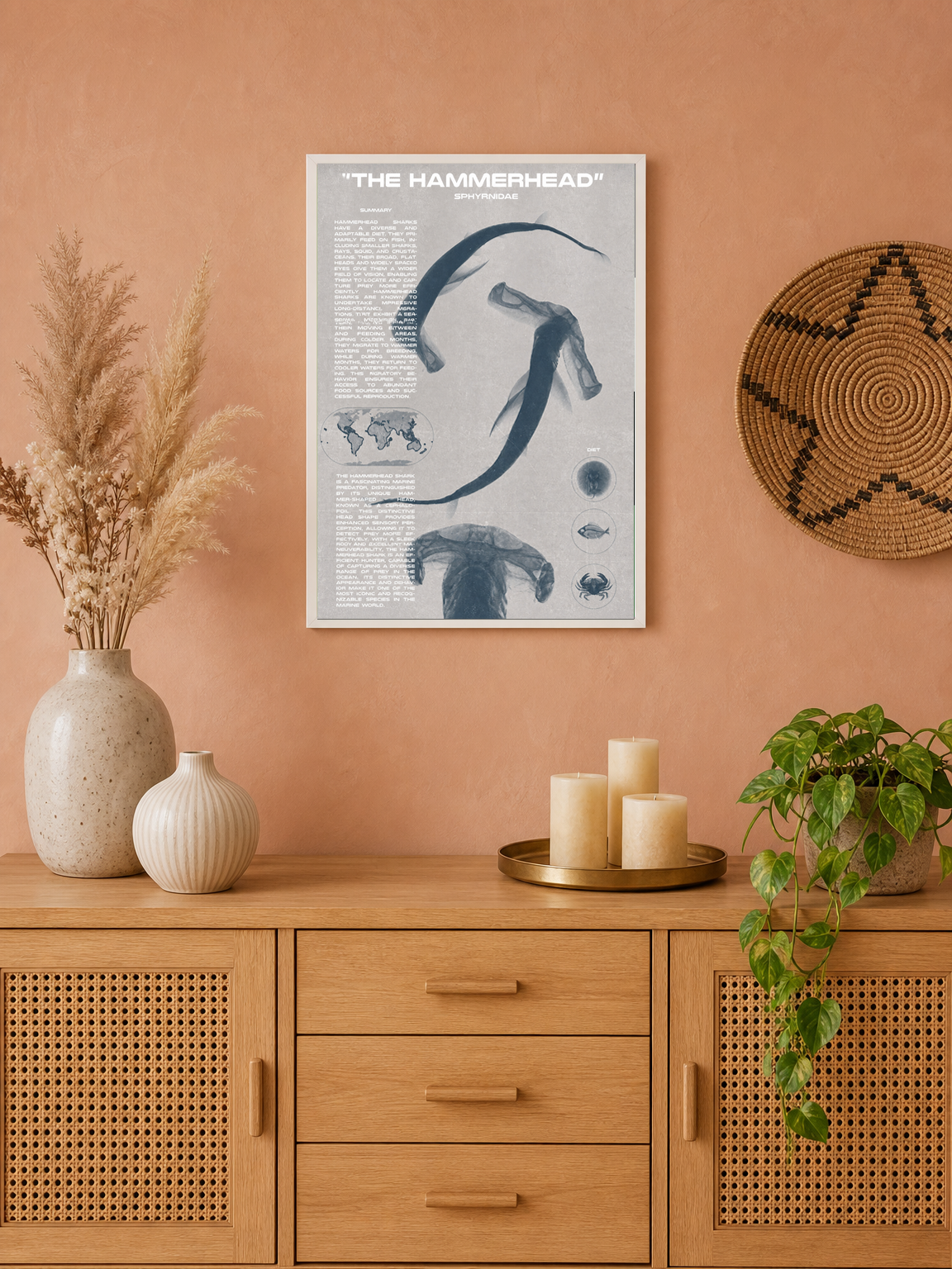The Hammerhead Shark Educational Wall Art Print - white framed