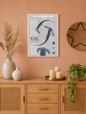 The Hammerhead Shark Educational Wall Art Print - white framed