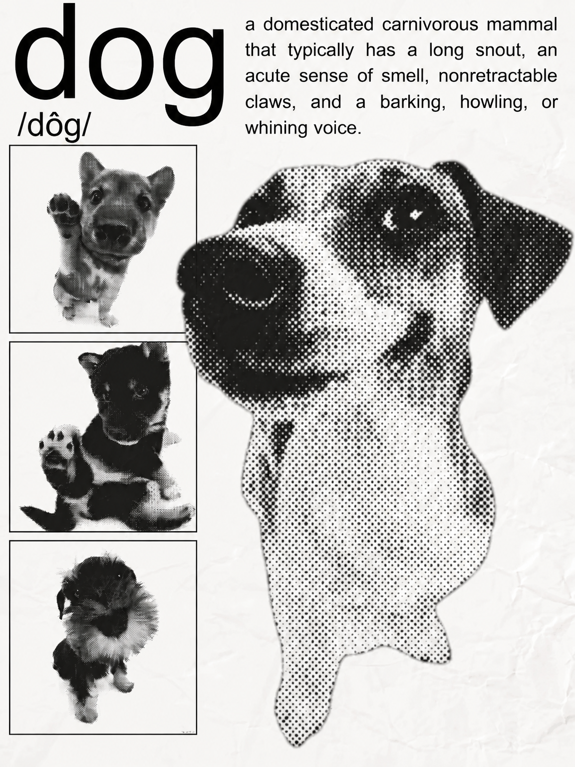 Black and White Dog Definition Wall Art Print - unframed