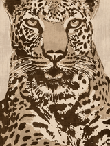 Leopard Portrait Neutral Safari Wall Art Print