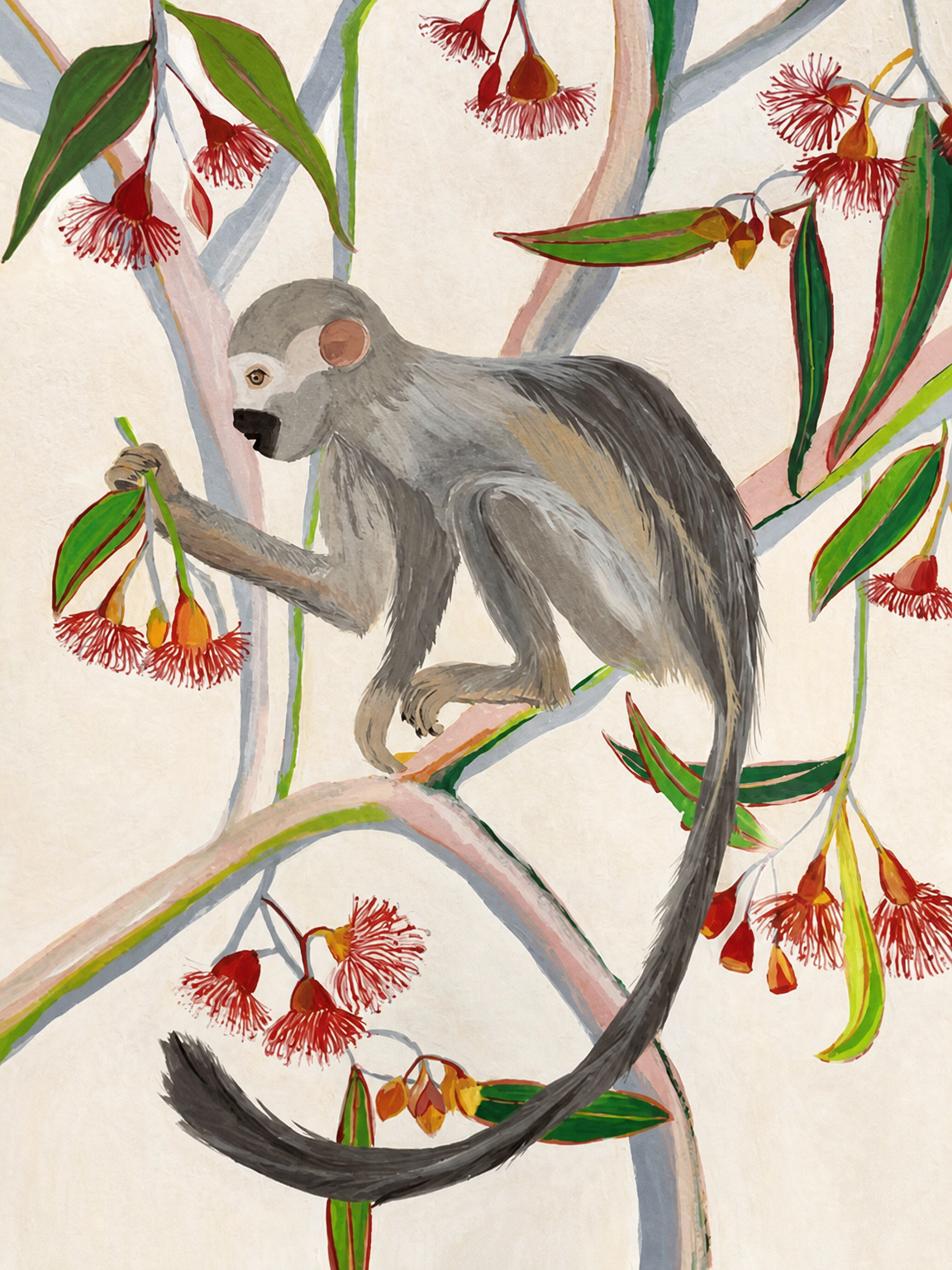Monkey in Eucalyptus Tree Wall Art Print - unframed