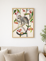 Monkey in Eucalyptus Tree Wall Art Print - wood framed poster