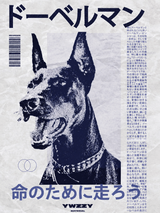 Japanese Doberman Poster Wall Art Print
