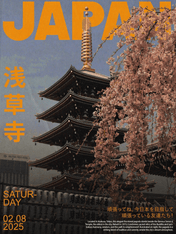 Japan Asakusa Temple Travel Wall Art Print - unframed