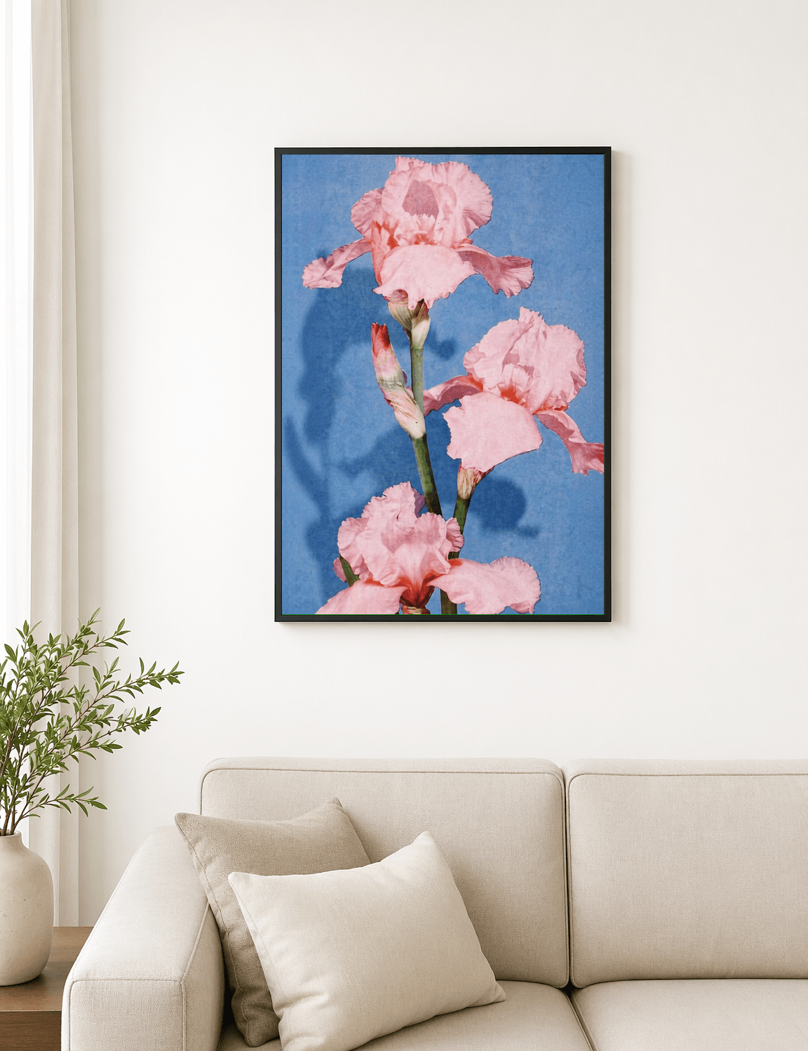 Pink Iris Flower Wall Art Print on Blue Background - black framed