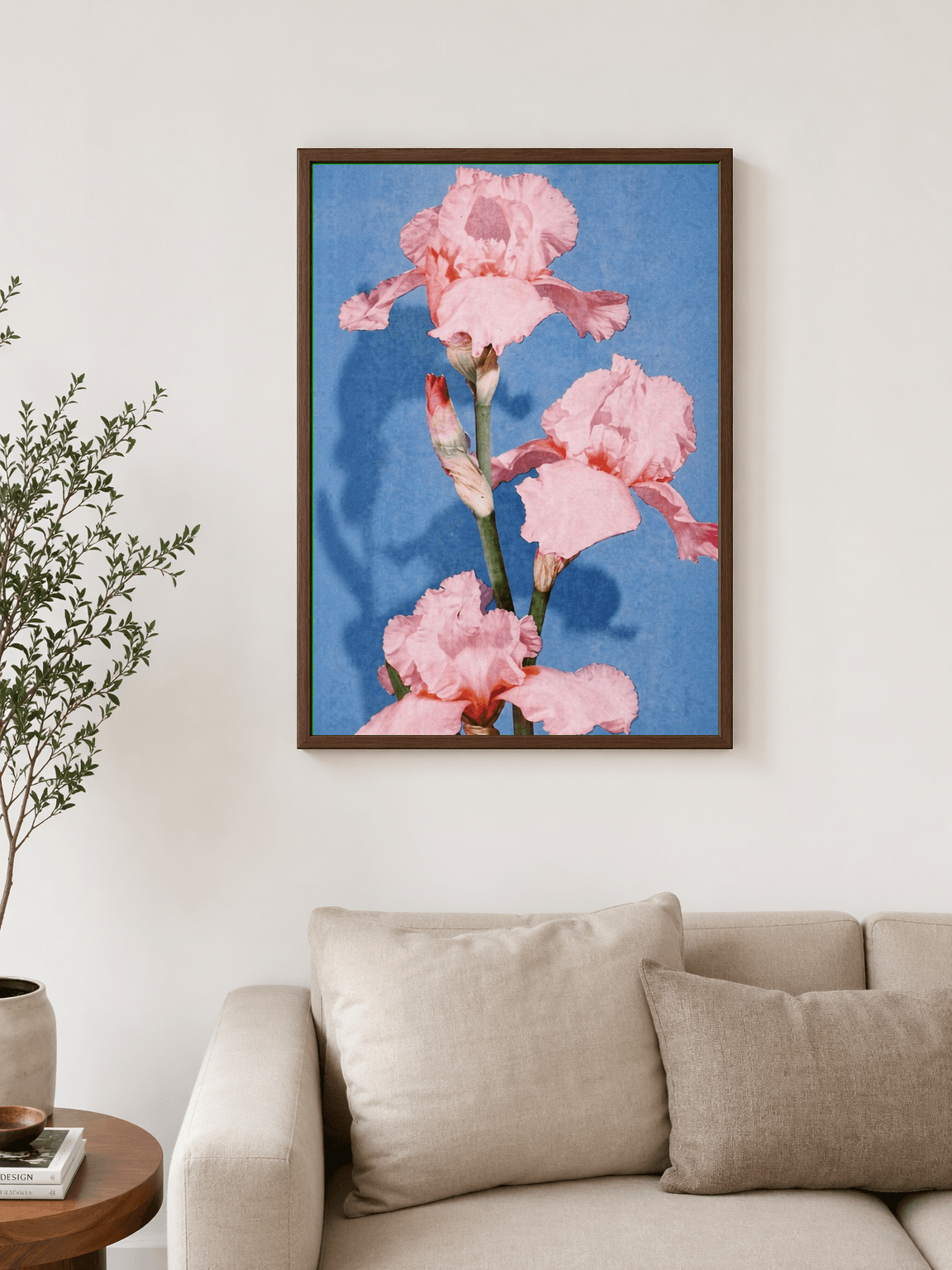 Pink Iris Flower Wall Art Print on Blue Background - dark wood framed
