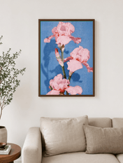 Pink Iris Flower Wall Art Print on Blue Background - dark wood framed