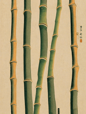 Minimalist Bamboo Wall Art Print in Japanese Style - unframed