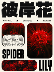 Mystical Spider Lily Wall Art Print Poster - unframed