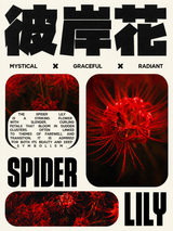 Mystical Spider Lily Wall Art Print Poster