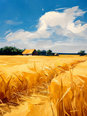 Golden Wheat Field Landscape Wall Art Print - unframed