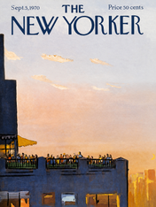 Rooftop Sunset New Yorker Wall Art Print - unframed