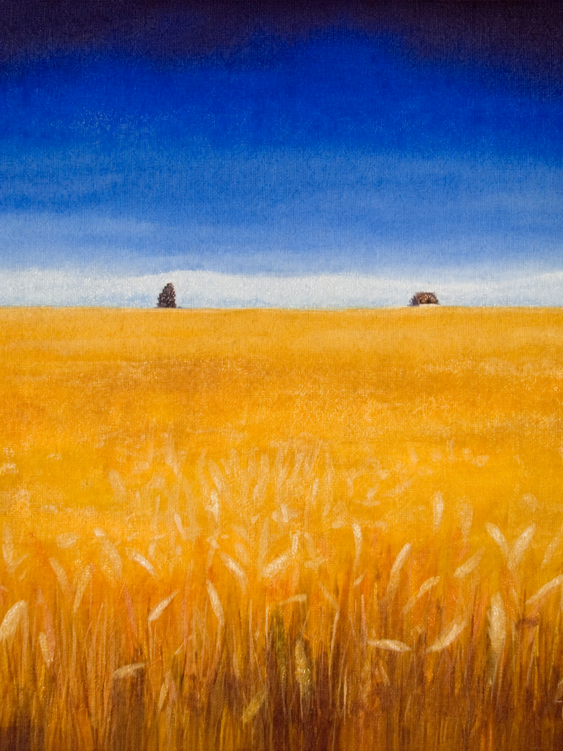 Golden Wheat Field Landscape Wall Art Print - unframed