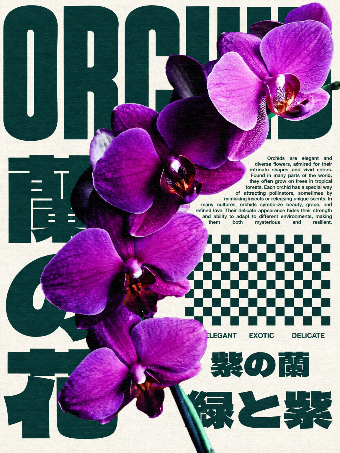Purple Orchid Botanical Wall Art Print - unframed