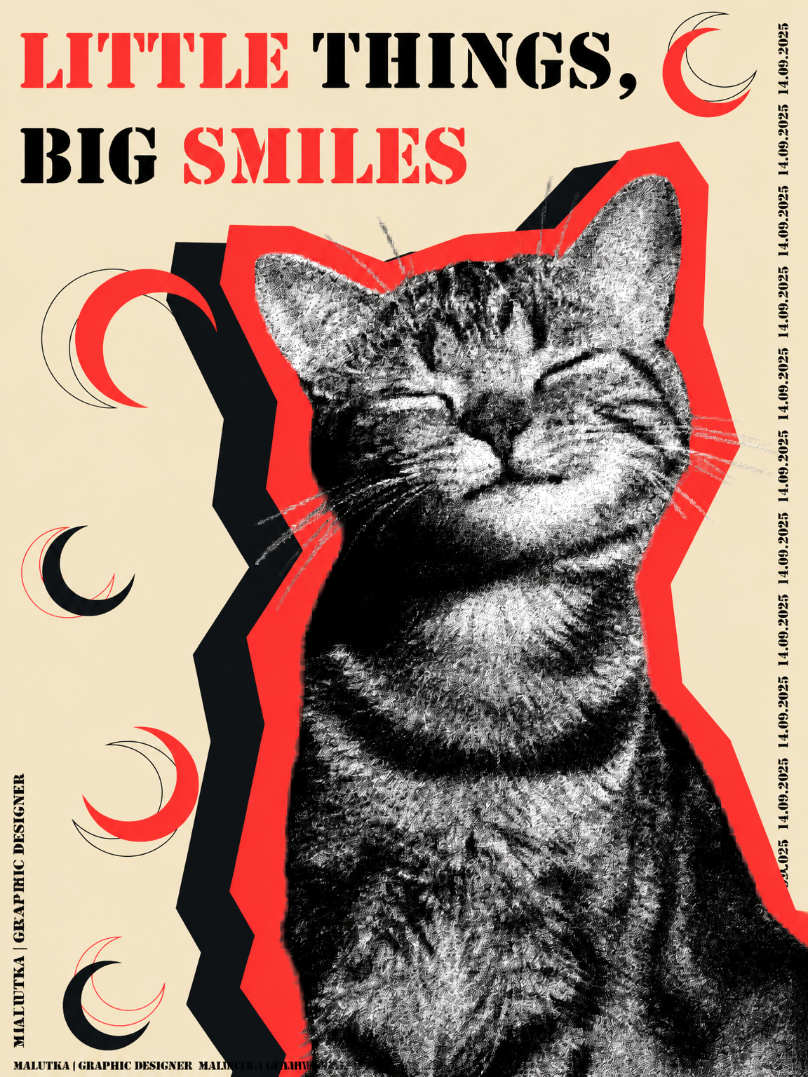 Little Things Big Smiles Cat Wall Art Print - unframed