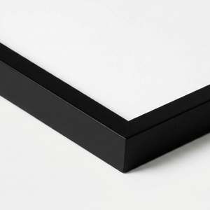 Black Framed